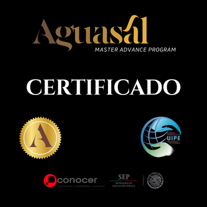 Curso Profesional de Cejas: Brow Lamination + Henna Brows