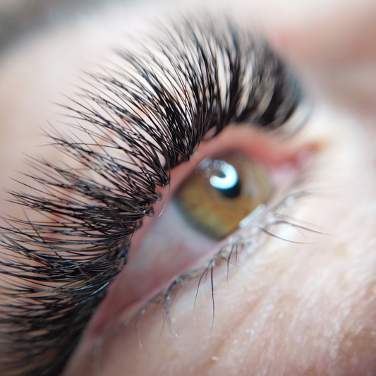 Lash Start Home